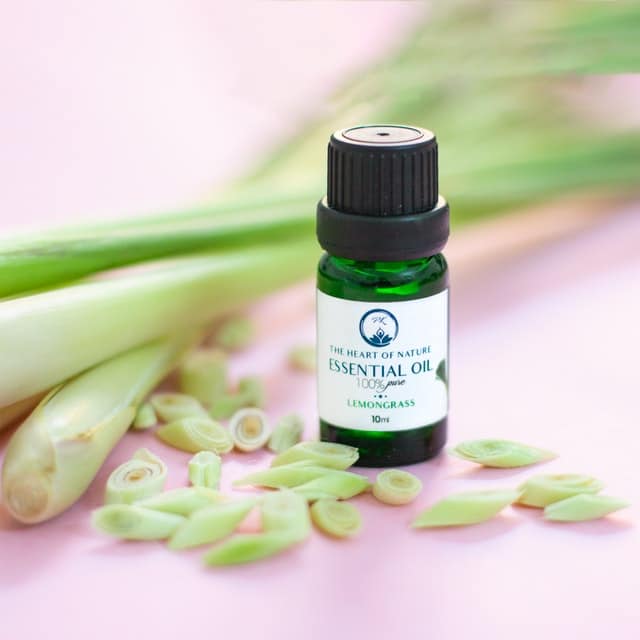Essential oils on a counter with plants